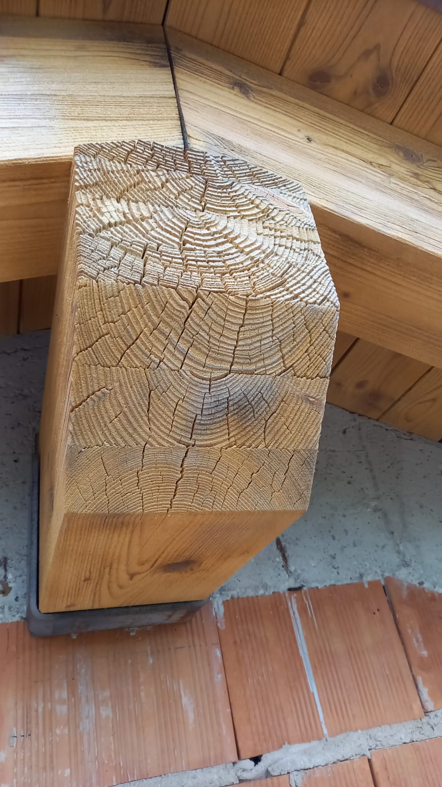 WhatsApp Image 2022-11-29 at 19.46.24 (1)