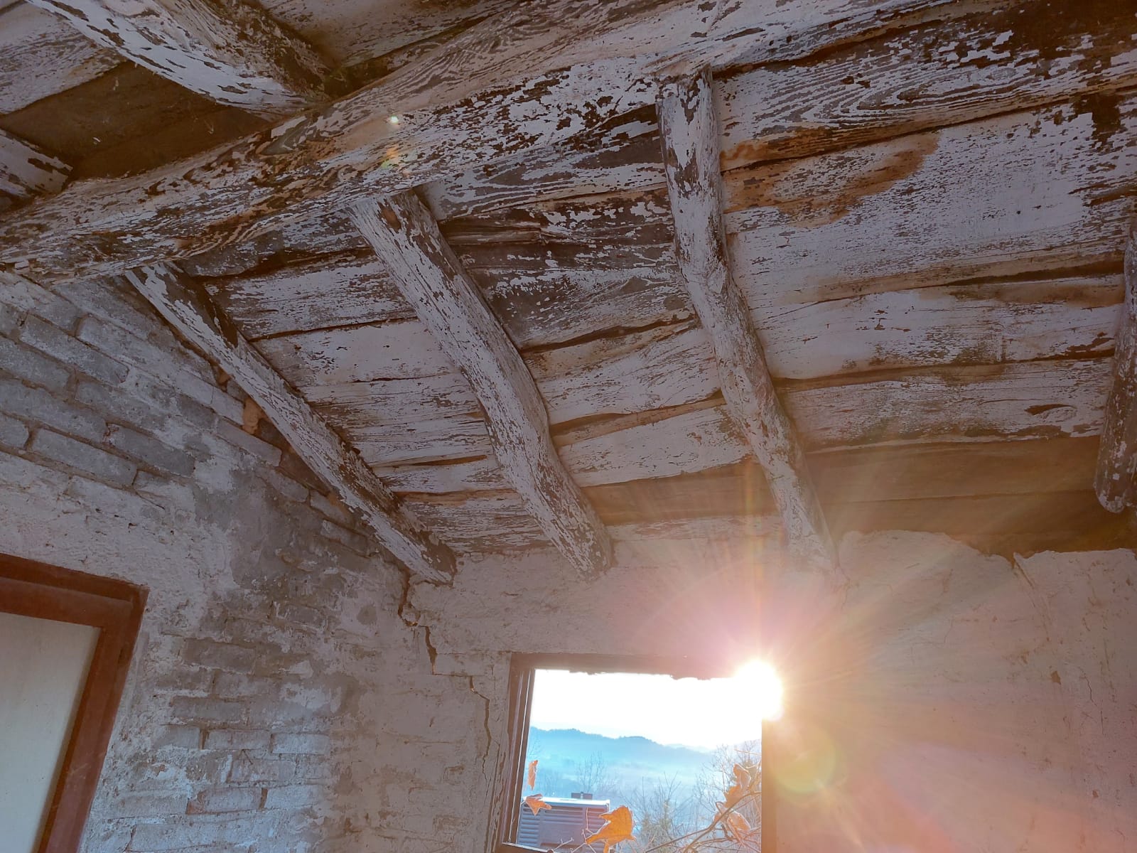 WhatsApp Image 2022-11-29 at 19.52.03 (1)