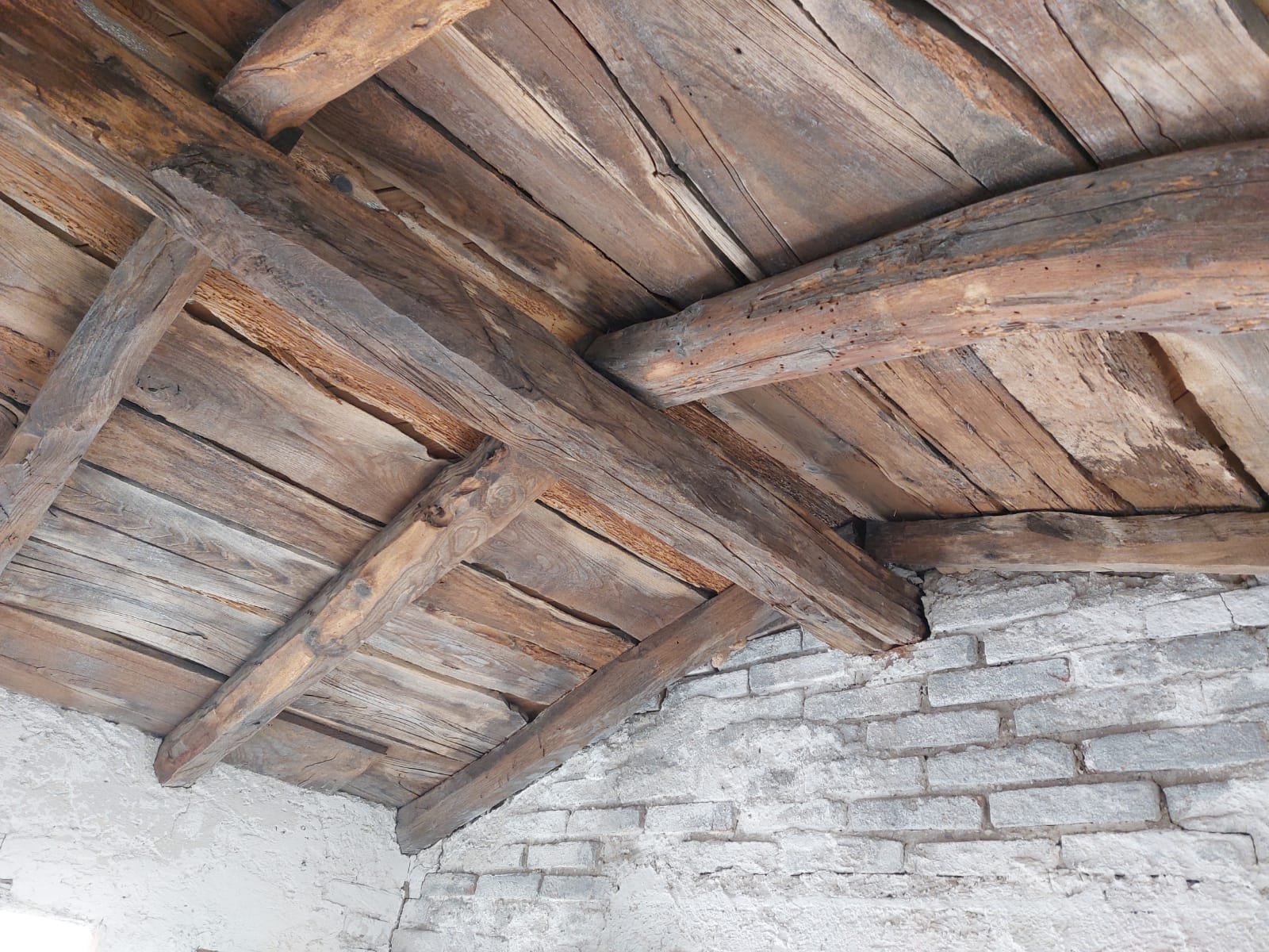 WhatsApp Image 2022-11-29 at 19.52.03 (3)