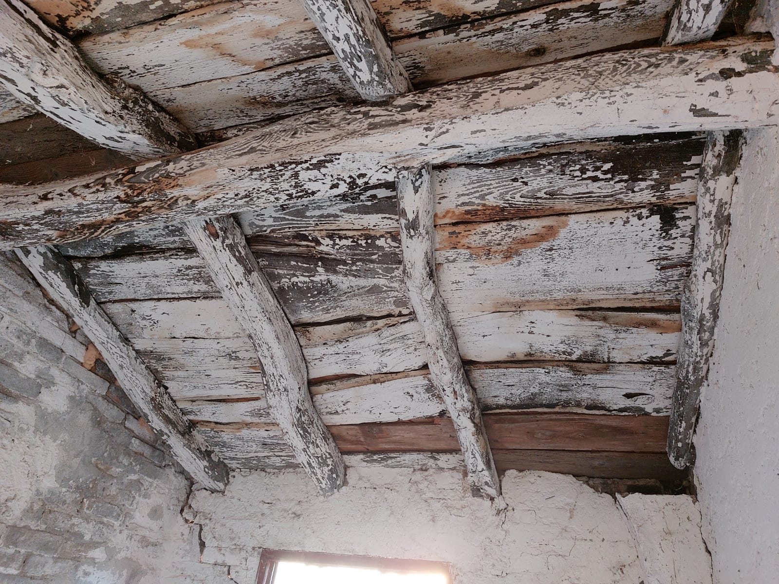 WhatsApp Image 2022-11-29 at 19.52.03