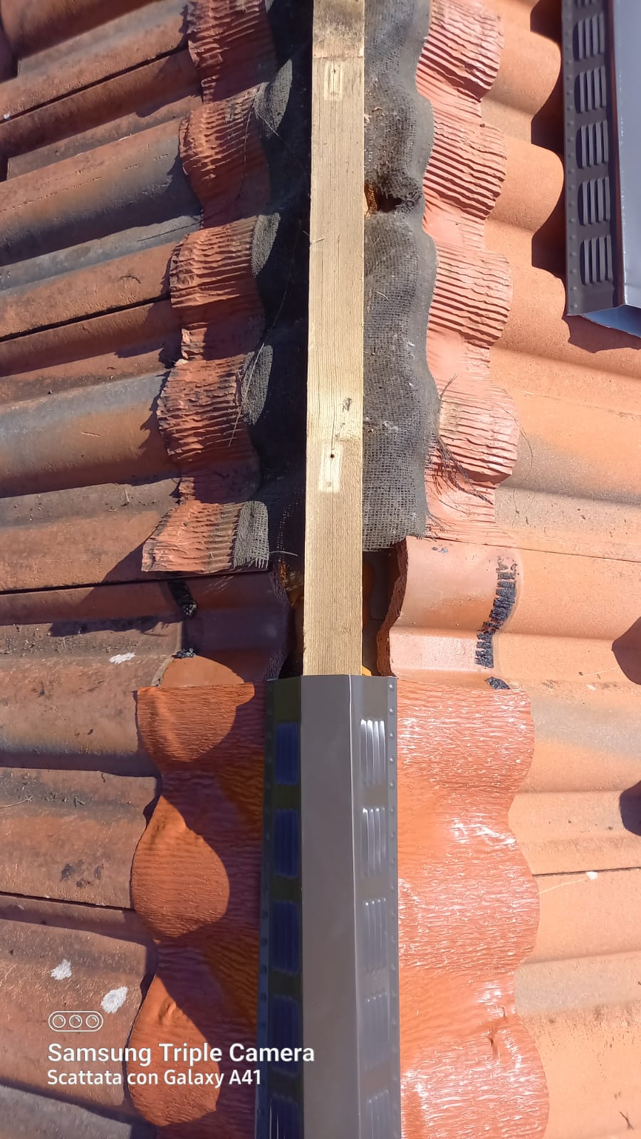 WhatsApp Image 2022-11-29 at 19.55.08 (1)