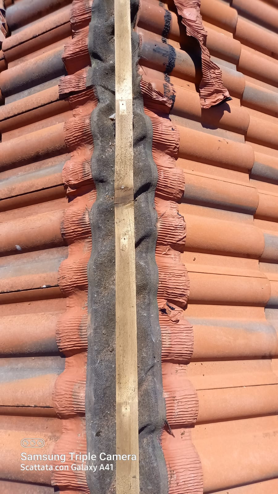 WhatsApp Image 2022-11-29 at 19.55.08