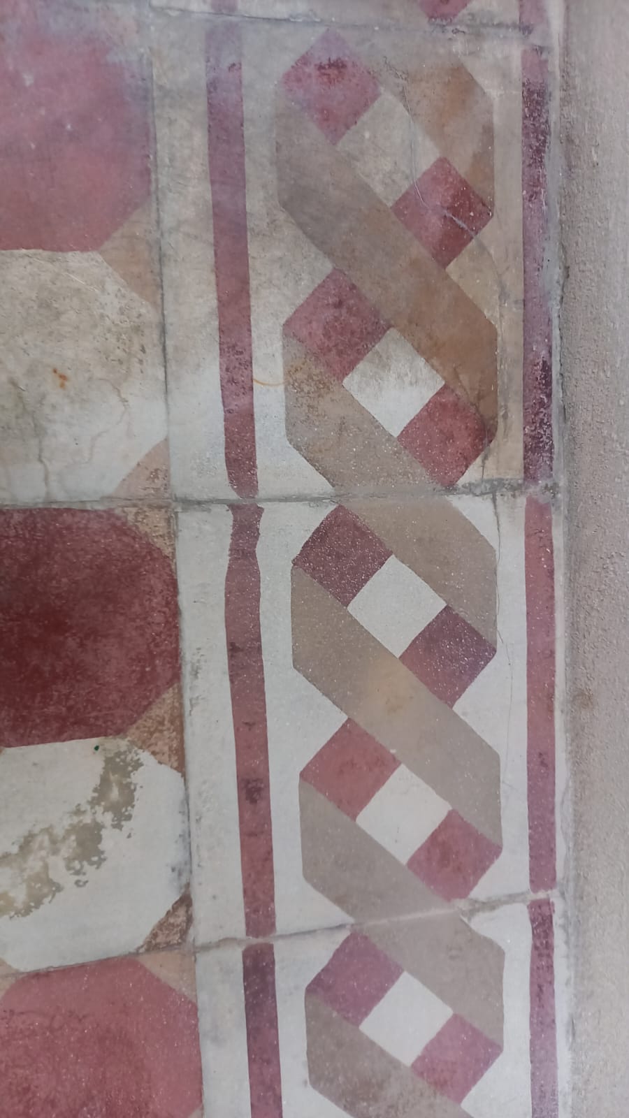 WhatsApp Image 2022-11-29 at 20.31.42 (1)